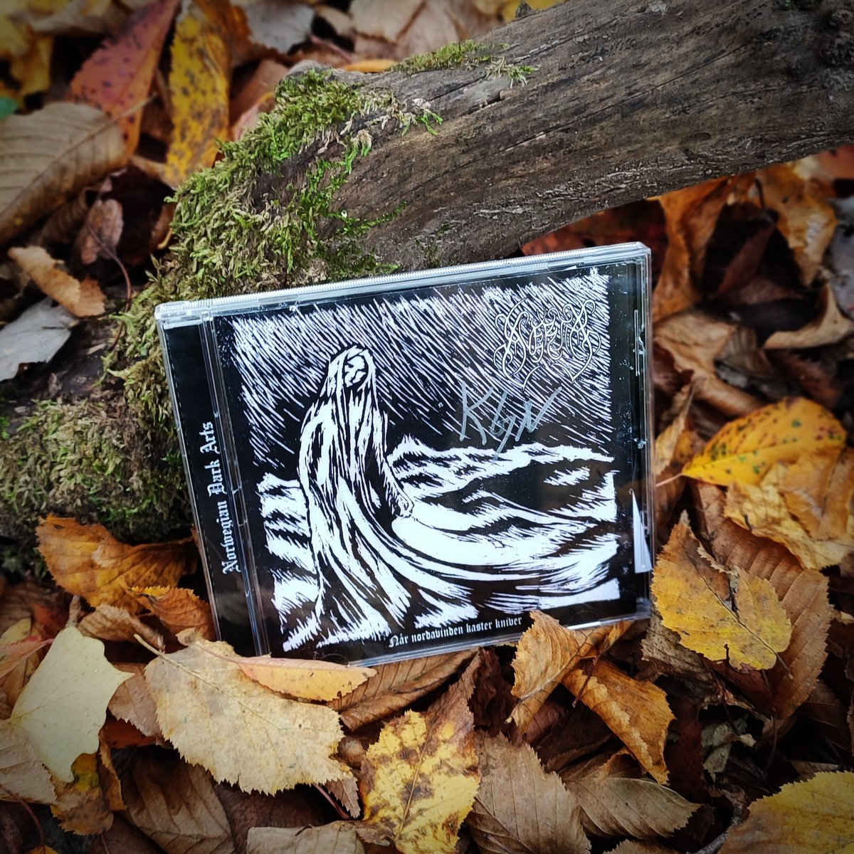 FilosofemRec's tweet photo. Karola from WitcheR band (@witcherband) with the new Avertia (@Avertia3) album!
Thank you for the band for the friendly trade! 🤘
Recommended album for the fans of norwegian black metal!
#avertia #blackmetal #metalgirl #metallady #norwegianblackmetal #darkarts #cd https://t.co/o8rUm6VkWS