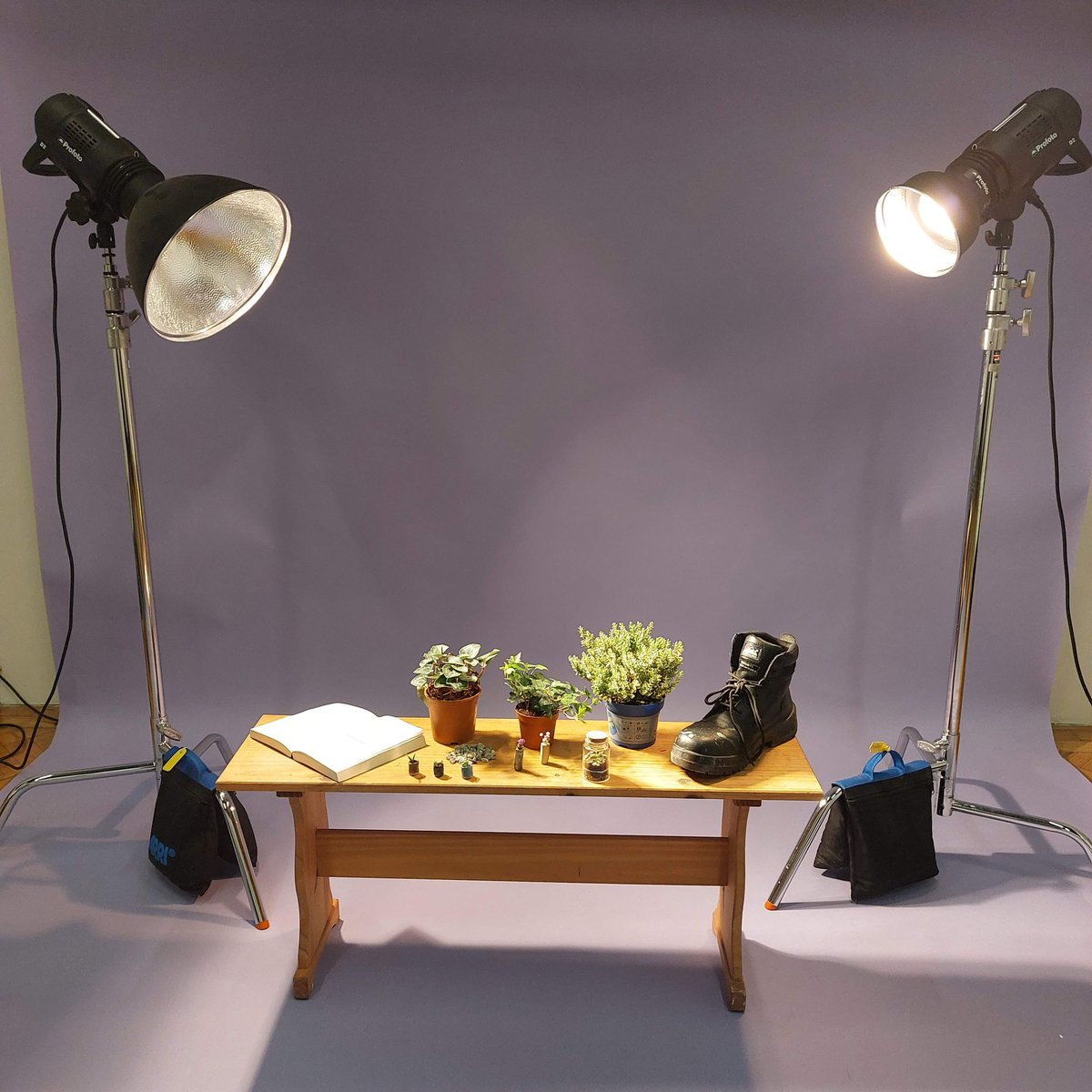 Here is a sneak peek at the shoot that I have done and the items I used for an Environmental theme that involves still life photography!