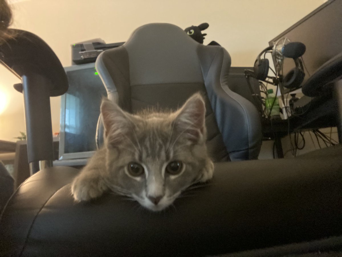 graciiiebenson's tweet image. My camera roll is mainly Emerson now and I’m okay with that