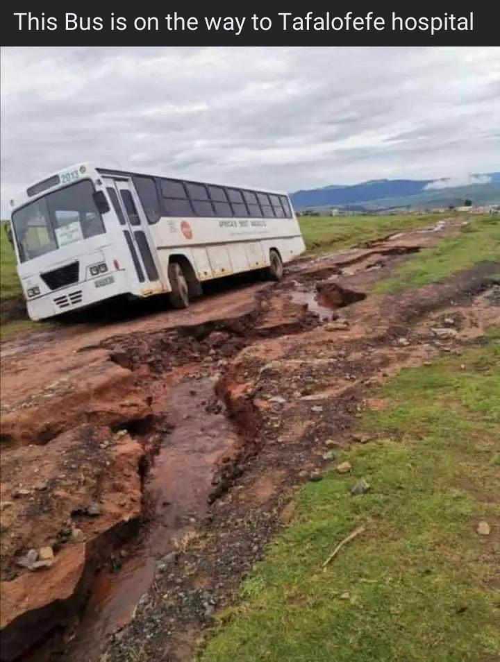 PBangani's tweet image. Inene uCentane walibaleka andifuni ukungatsho 🤔🤔🤔🤔.