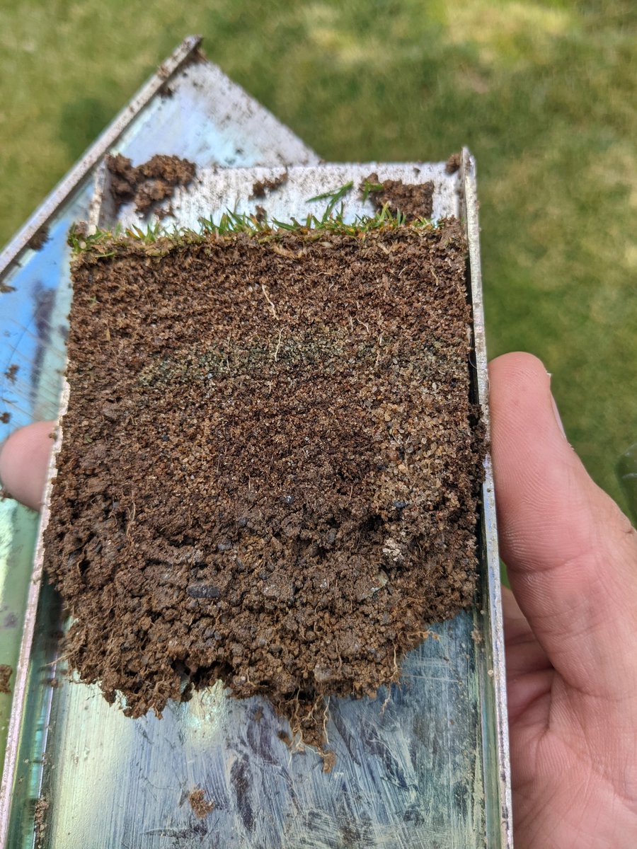 Marvin Seaman tweet media