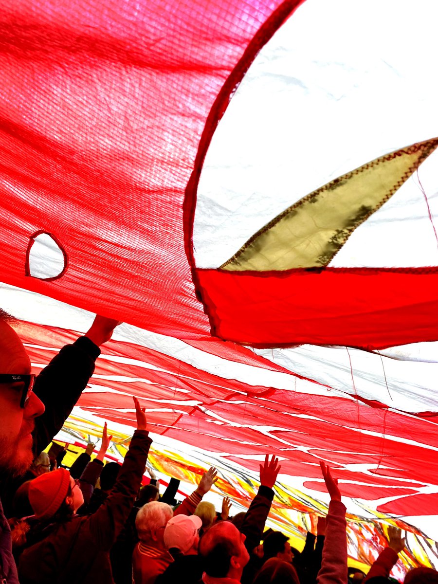 monkleymoo's tweet image. The bird flies again #Anfield  #Liverpool