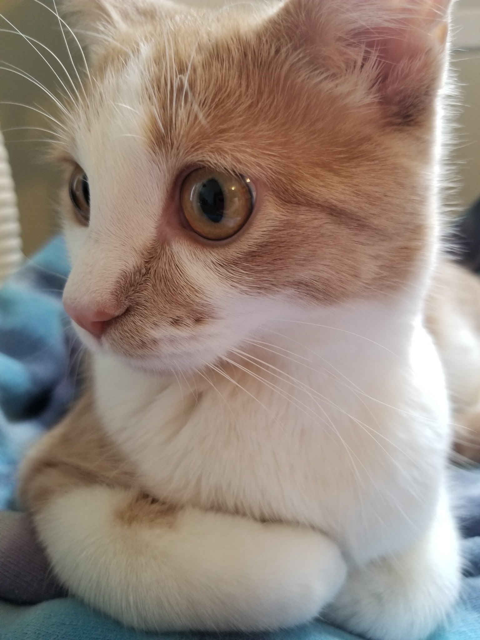 How Many Sandwiches Have you Made For Me (House_of_Hubbs) / Twitter