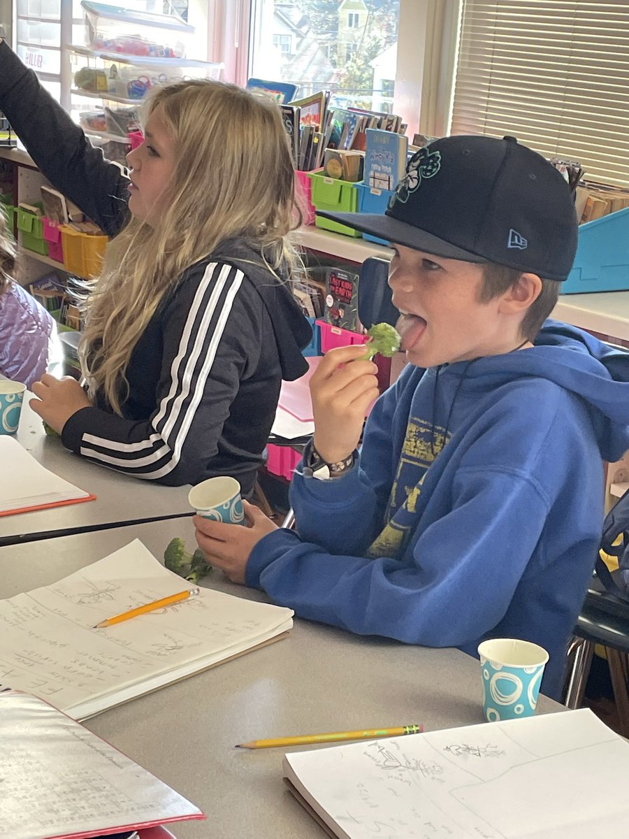 Kelly Hillier tweet media