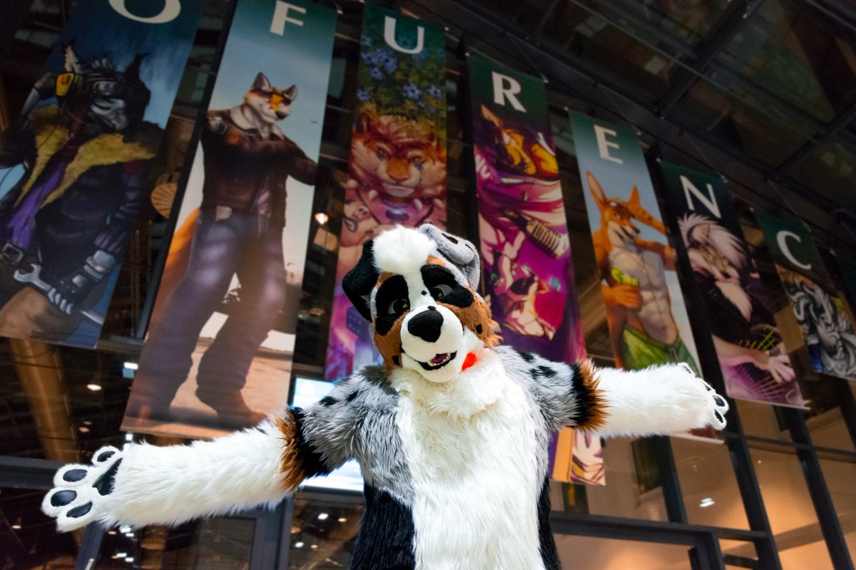 Auster ! 🇮🇹 tweet media