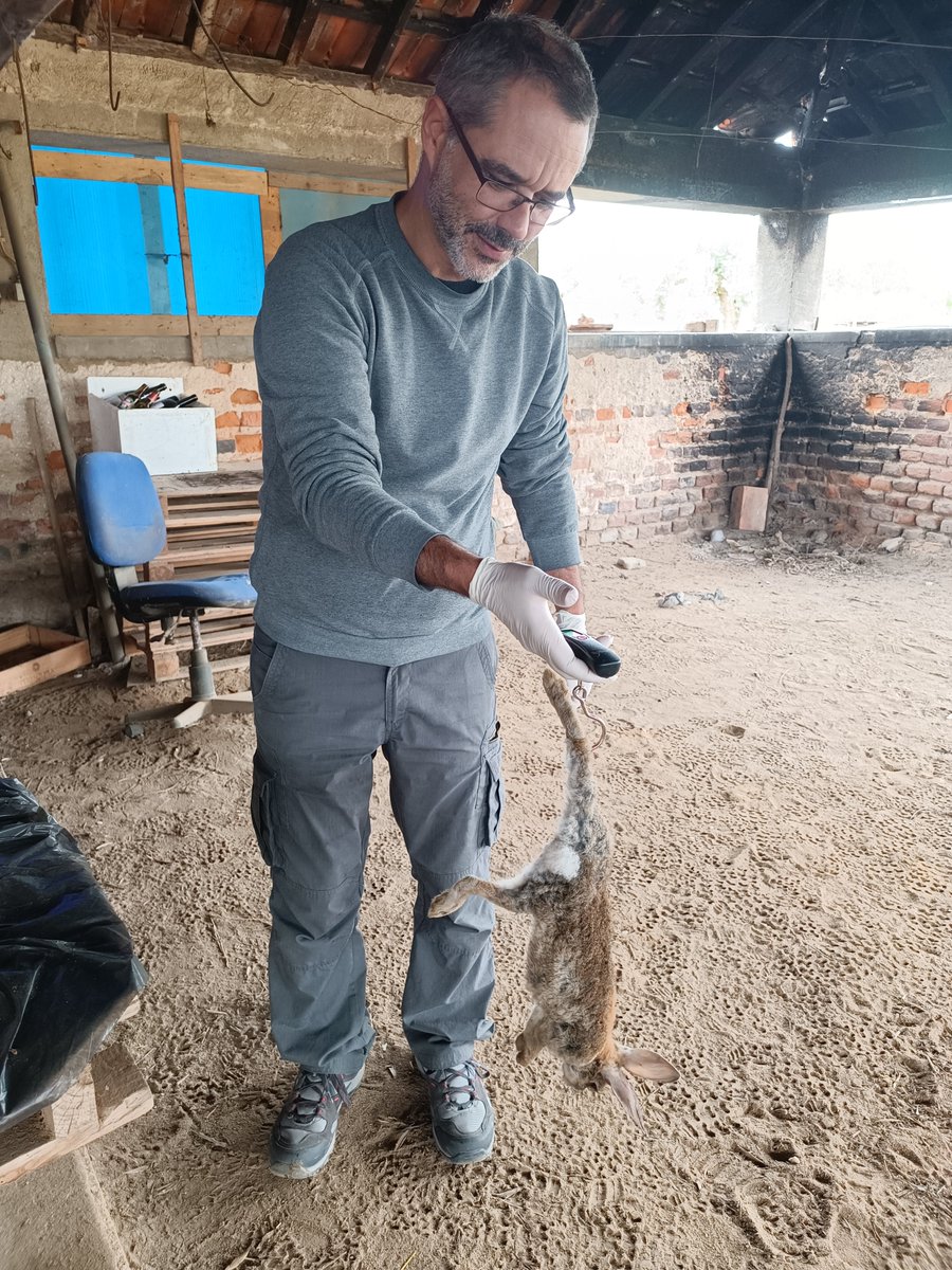 ZoonoMed project tweet media