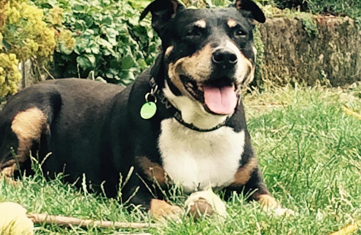 end of an era. find human @brazenjules tweet media