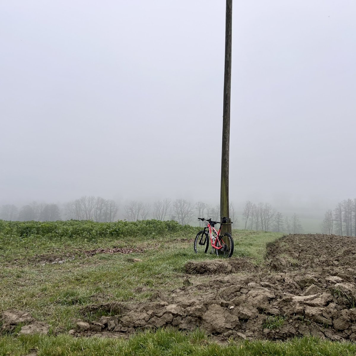 Novembertristesse in schön. 
Es war heute neblig, es war feucht und es war kalt. Und gegen Ende war es auch zappenduster. Aber das Radeln über Land durch diese gedämpfte Stimmung hat seinen speziellen Reiz. 
#bikelife #mtb