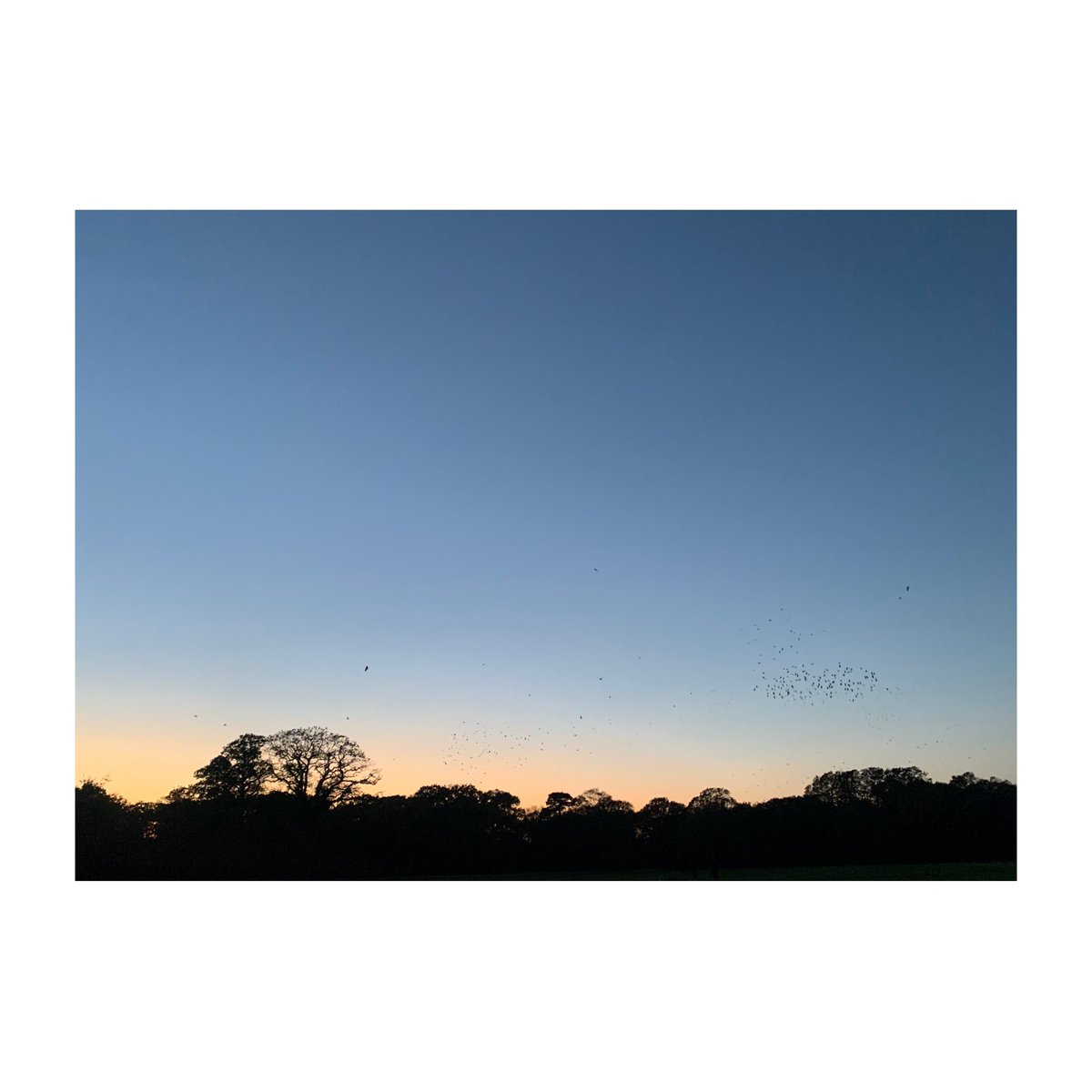 Cliff Culver tweet media