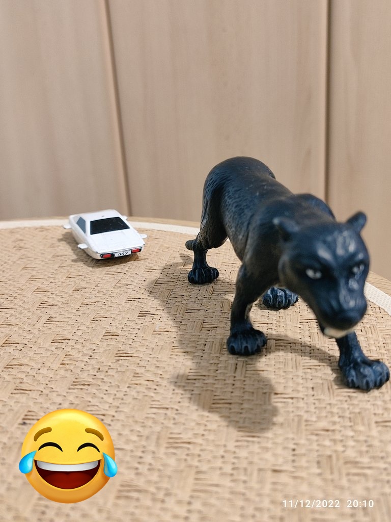 vlajkkonen's tweet photo. Evo kod nas u Po, James Bond juri crnog pantera. https://t.co/fK0ae2kqbS