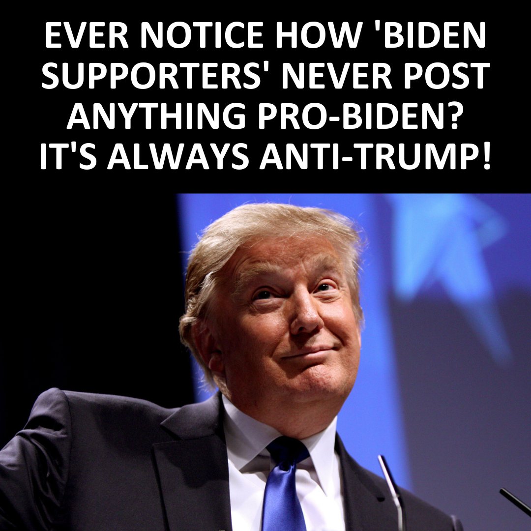 Brigitte Gabriel On Twitter The Left Hates Trump More Than They Love brigitte-gabriel-on-twitter-the-left-hates-trump-more-than-they-love