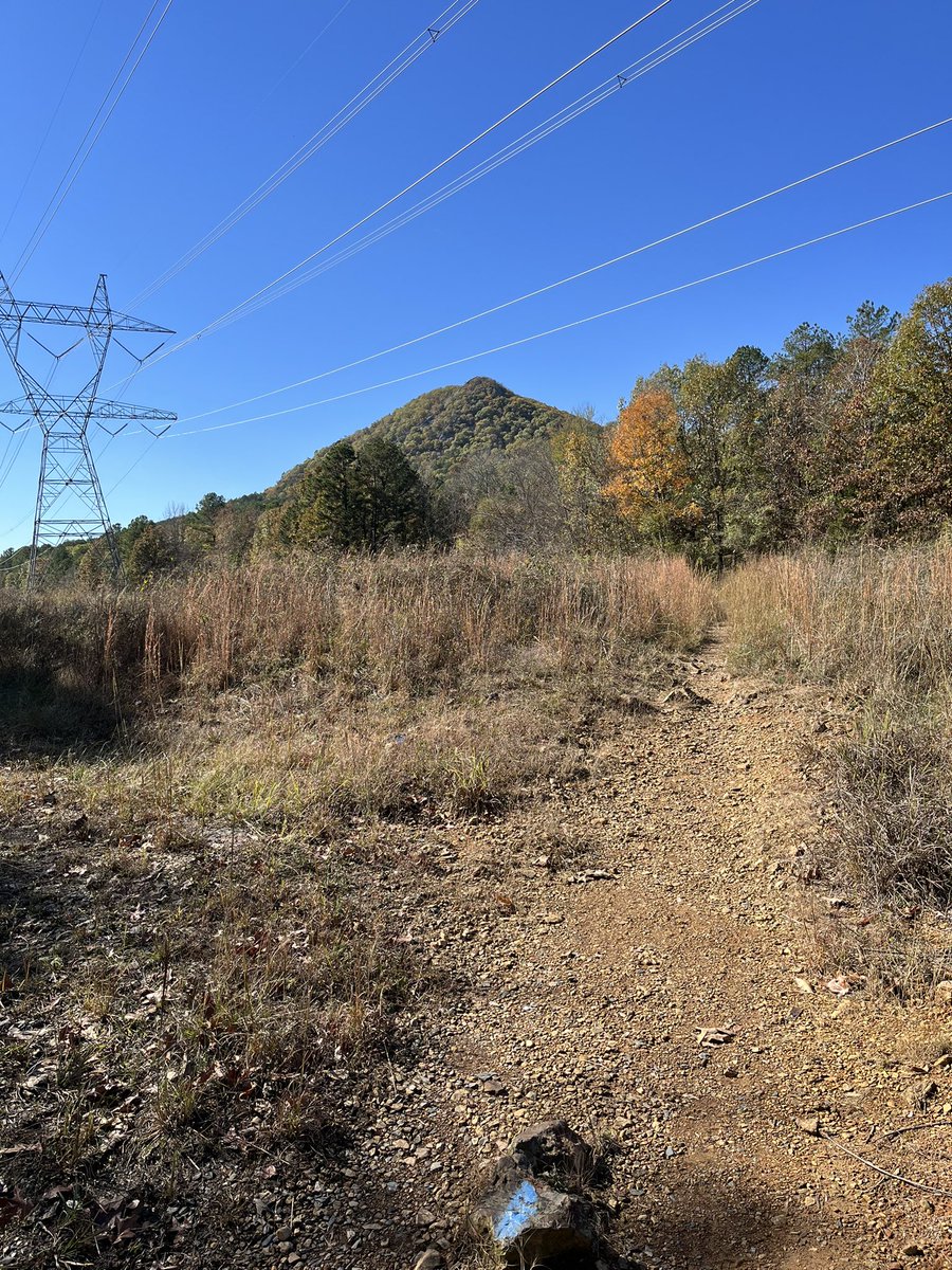 Getting to know my new area today and visited Pinnacle Mountain! The dogs still aren’t used to a leash again after roaming free in Kentucky, so it was a bit difficult. But still a good time nonetheless. This is the only picture I got.@ARStatePark #hiking #fall