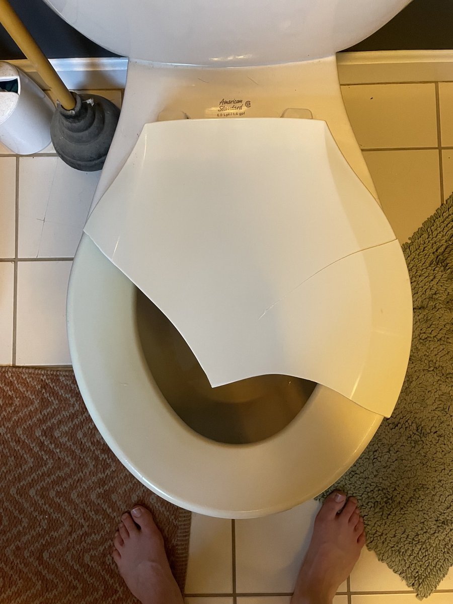 We bought a replacement seat but I refuse to install it because then I’d lose this “yeah, we have a toilet shark problem” sort of vibe.