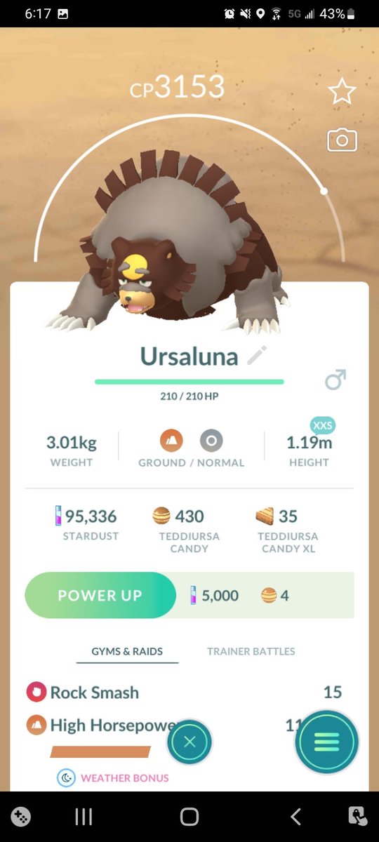 Kiristo's tweet photo. I caught the flu (or covid, still waiting on test results) so I couldn't go out for community day but at least I got one minty green Teddy and an Ursaluna. 😃 #PokemonGO #PokemonGOCommunityDay https://t.co/uYKLxPE6DB