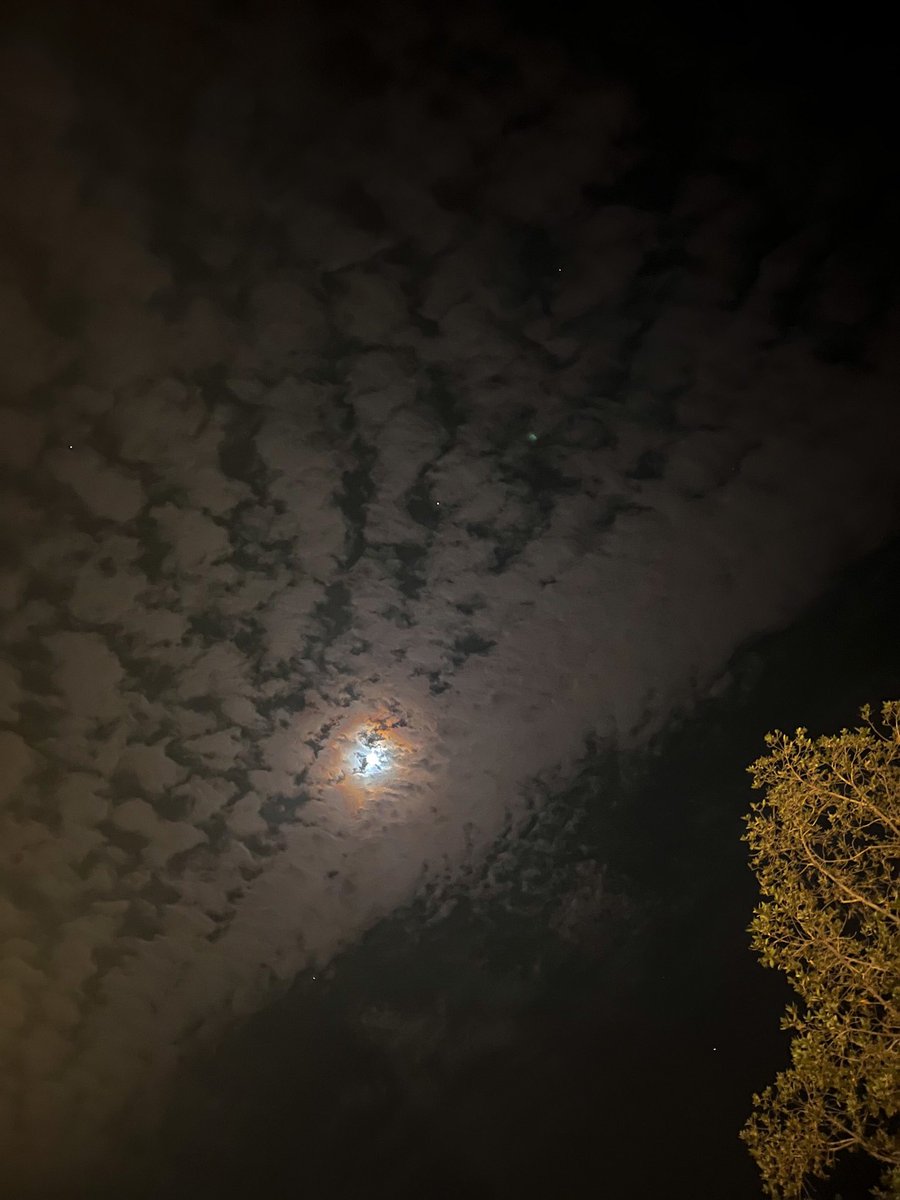 حظ المكان اللي يضوي فيه قمرين🤍.