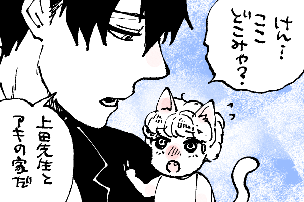 🐱キラキラにゃんこ生活
ここは上田とアキのお家🏡 