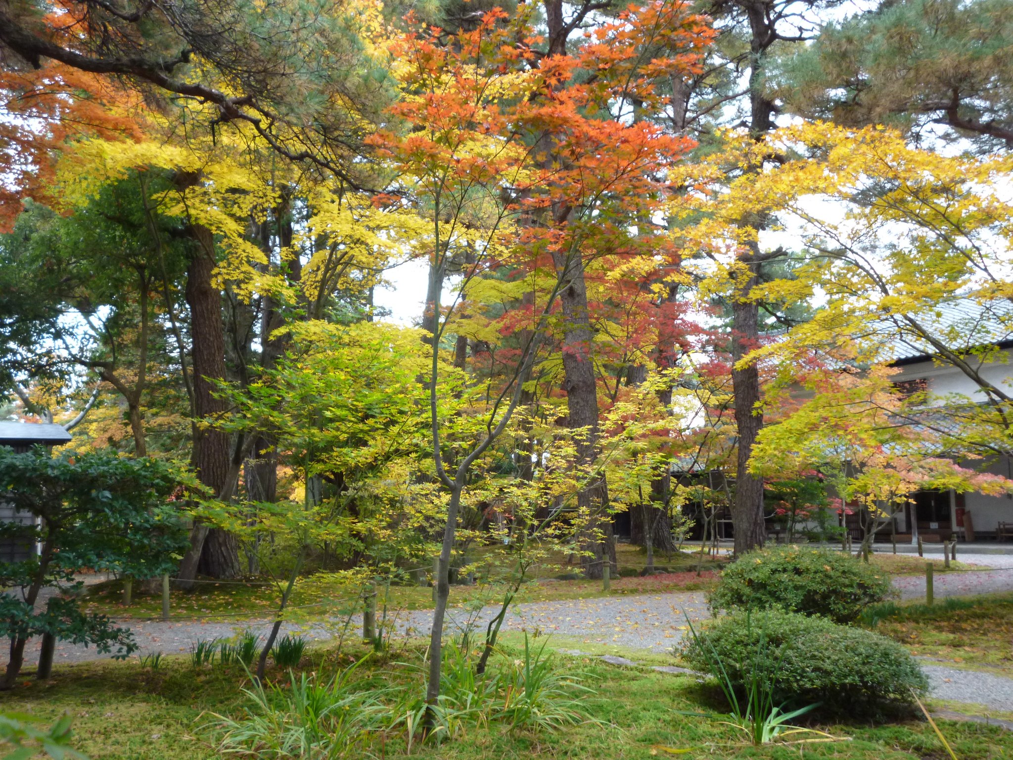 清水園 on Twitter