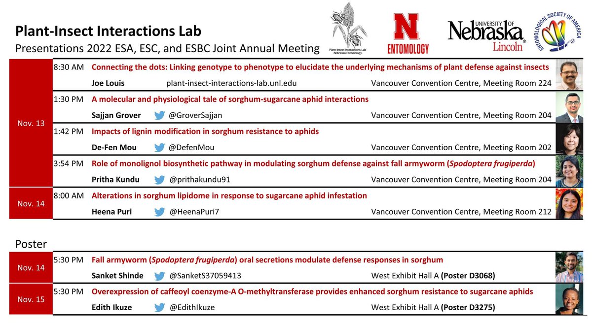 Sanket Shinde tweet media