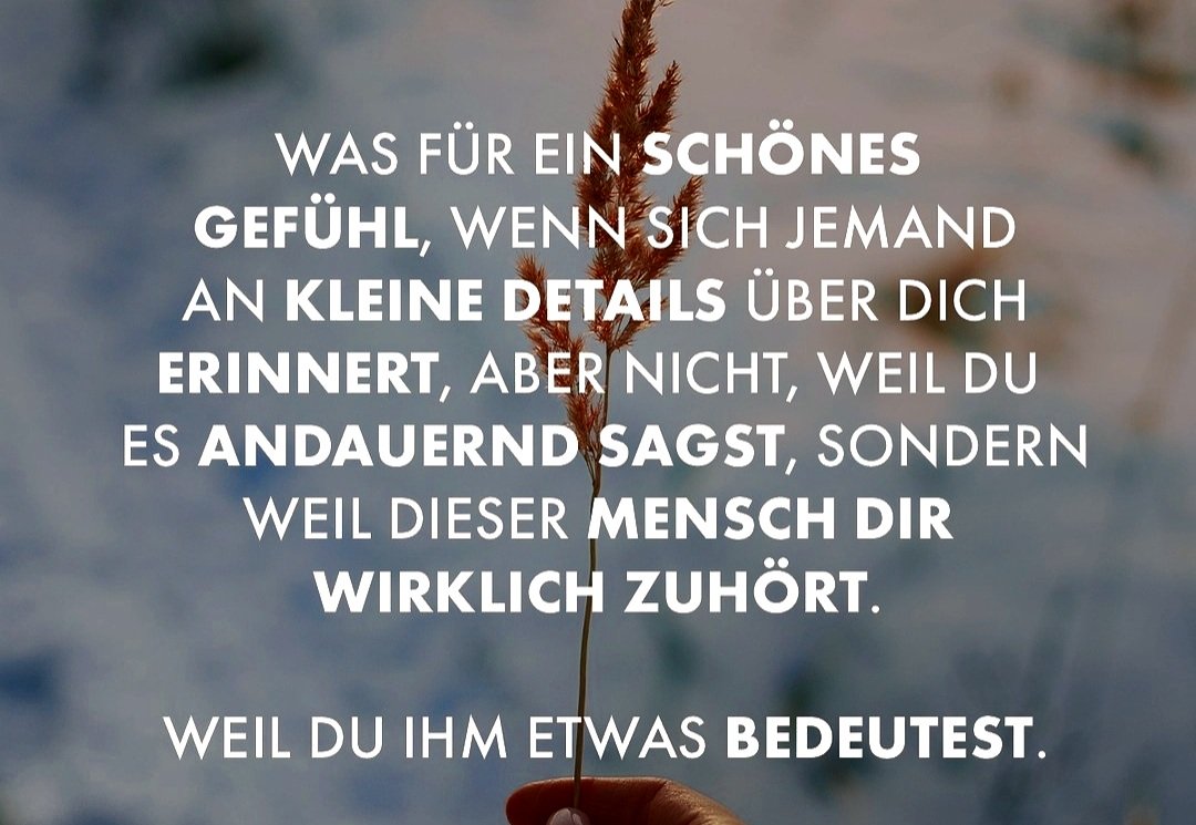 Cornelia_dasNordlicht (@sonnewassonst) on Twitter photo 