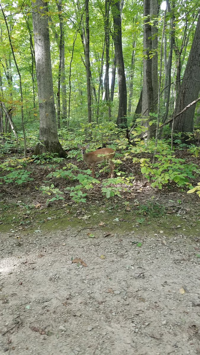 OrlowskiTweets's tweet photo. @WillCoForests https://t.co/GhUO5Jzjsf