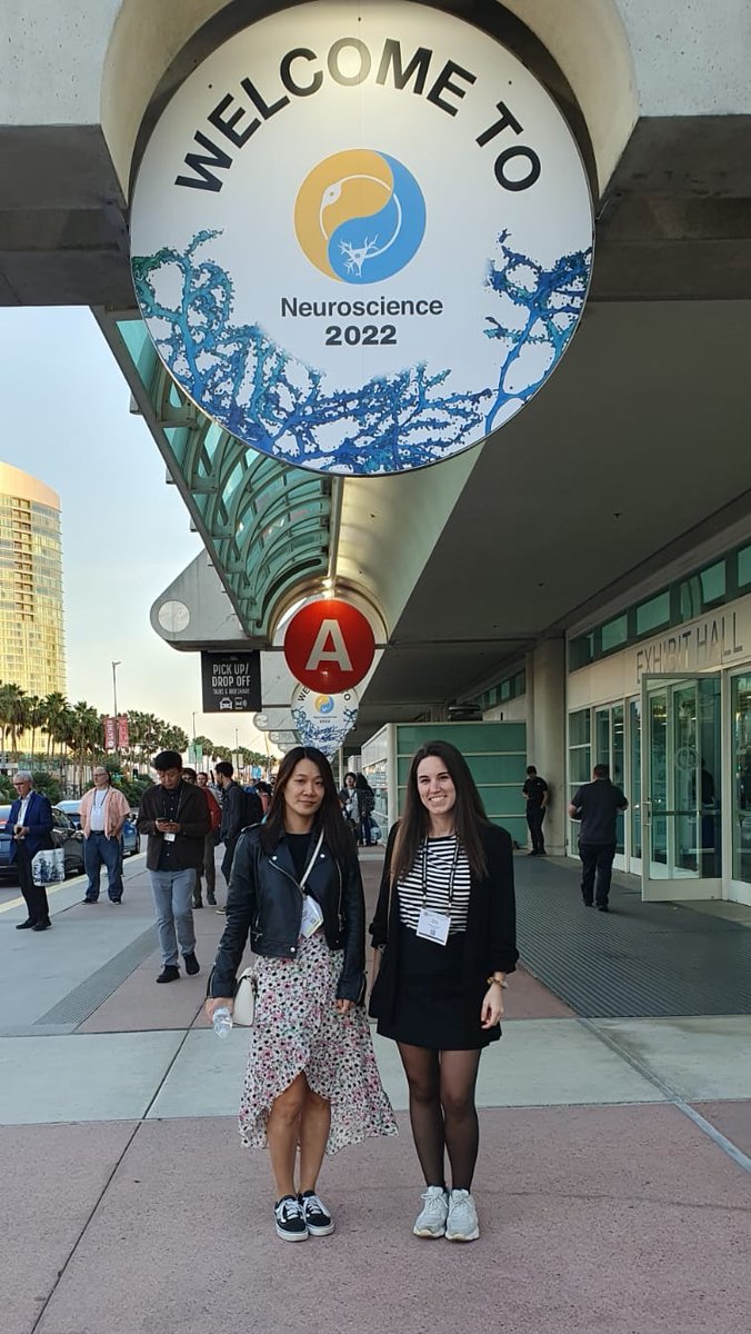 Ready for SfN2022! 

If you want to know more about which brain regions regulate immunity, don't hesitate to come by my poster Tuesday 15th at 13h at Board Z4! See you around! #sfn2022 #neuroimmunity  #SanDiego