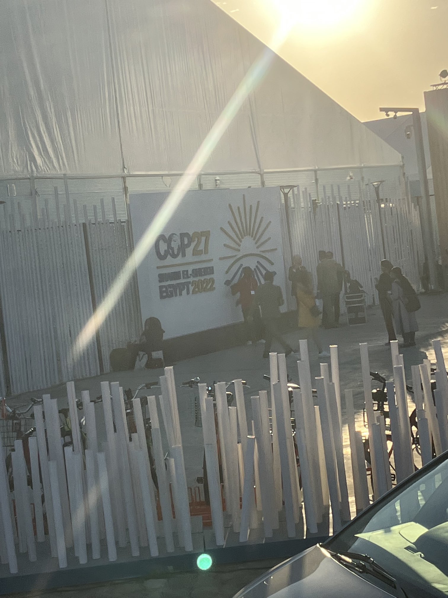 Sophia_housing (sophia_housing) / Twitter