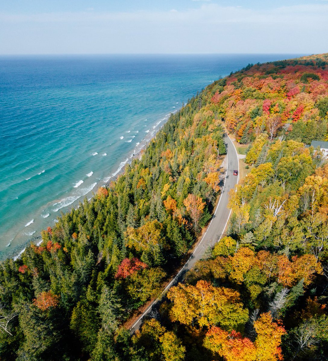 PureMichigan's tweet image. Cruise the coast like 007. 

📸: Pure Michigan
#PureMichigan #FallFilter #TunnelOfTrees