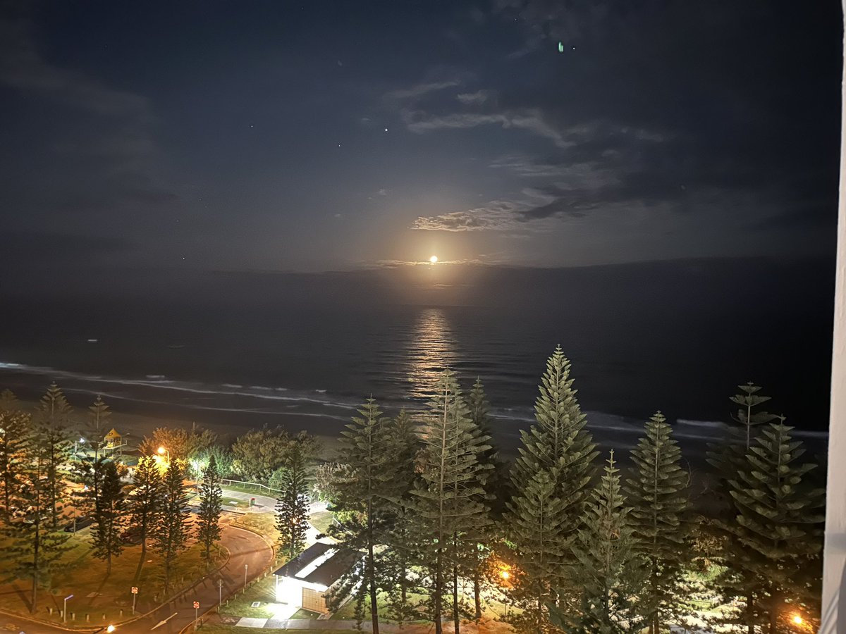 Richard Eden tweet media