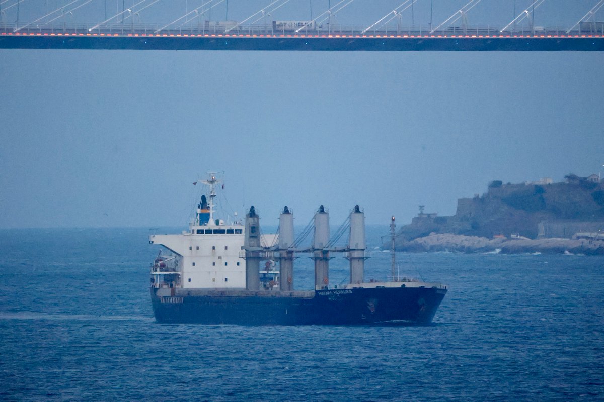 YorukIsik's tweet photo. Russia's sophisticated smuggling op that has used falsified manifests &amp; seaborne subterfuge to steal Ukrainian grain worth $1billion is a war crime &amp; carried out by state-owned companies:CMC's Mikhail Nenashev transits Bosphorus carrying plundered wheat from occupied Sevastopol https://t.co/F7Piowav7R