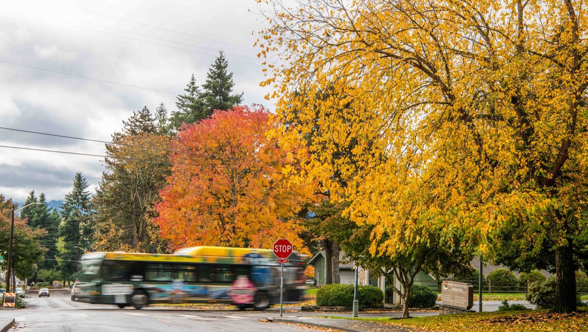 VancouverUS's tweet photo. Fall is your color, Vancouver. 

#OfficersRow #VanWa https://t.co/wBO2rkwrKB