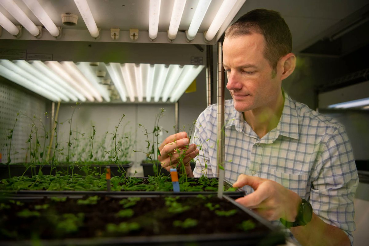 PSUScience's tweet photo. With #PennState working to draw down greenhouse gas emissions and reduce its carbon footprint, plant biologist @CAndersonLab is likewise advancing the cause of a greener, more-sustainable future through research and advocacy. https://t.co/d7bqK6vpRC #EberlyScienceJournal https://t.co/Q3OBmGLJqi