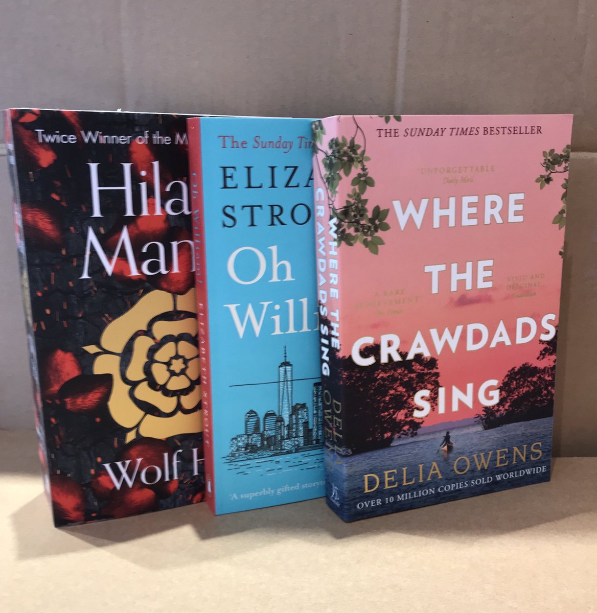 ReigateWS's tweet image. Now which to choose? HB or pb? Novel or a biography? Come and browse! @TinderPress @PenguinUKBooks