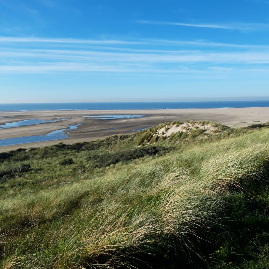 Carmen (@violetxkikkertj) on Twitter photo 