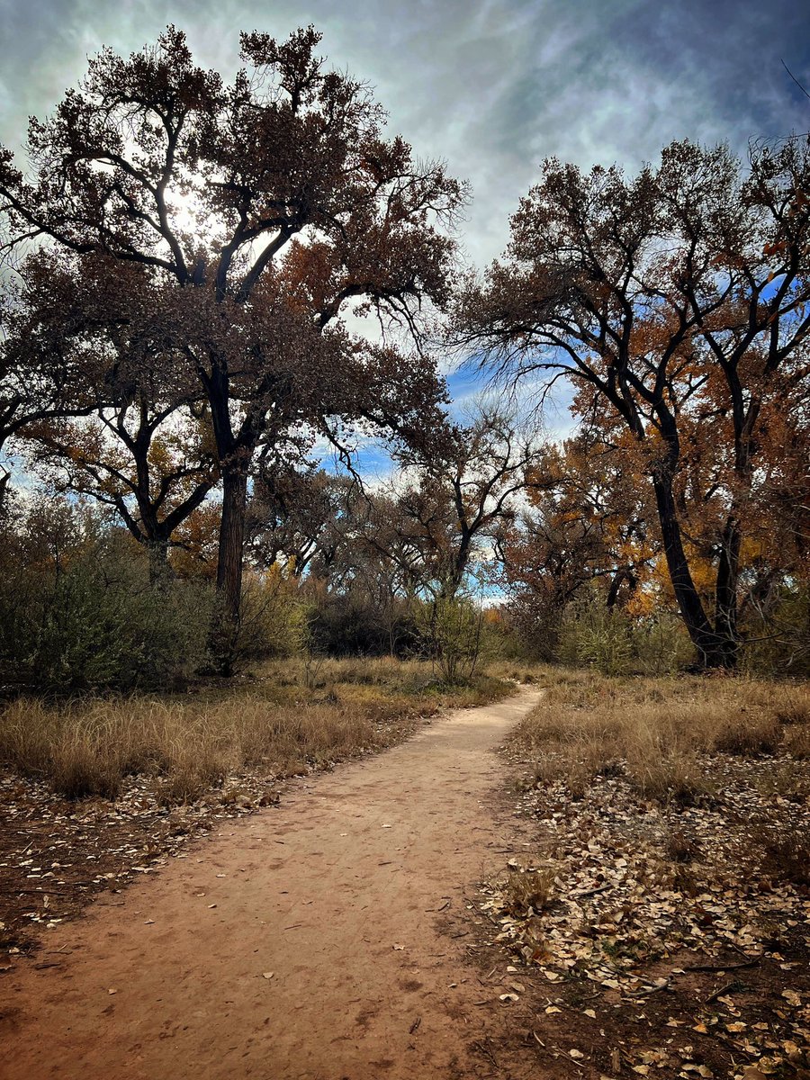 Love the Bosque in the fall. #trueabq #nmnomad #nmwx #Albuquerque #newmexicotrue #newmexico