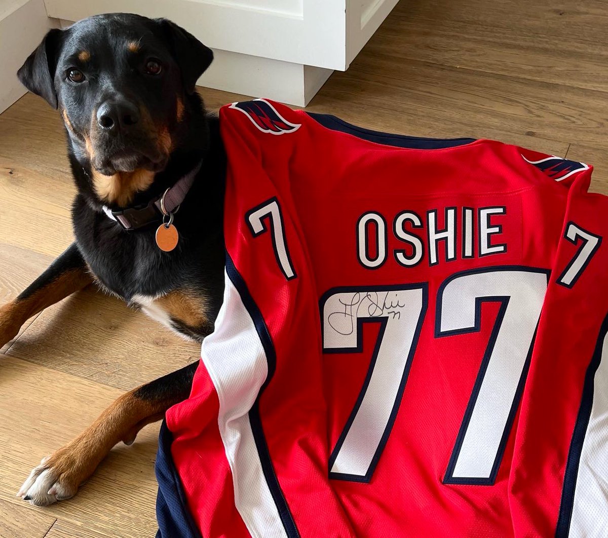 David Backes (@dbackes42) on Twitter photo Celebrating 9 years since <a href="/A4A_org/">Athletes For Animals</a> launched! Grateful for this community & all of the support over the years. To celebrate we are raffling off a <a href="/TJOshie77/">TJ Oshie</a> autographed jersey. For every $9 donated you get an entry for a chance to win! Enter here: athletesforanimals.org/support-us/ Celebrating 9 years since <a href="/A4A_org/">Athletes For Animals</a> launched! Grateful for this community & all of the support over the years. To celebrate we are raffling off a <a href="/TJOshie77/">TJ Oshie</a> autographed jersey. For every $9 donated you get an entry for a chance to win! Enter here: athletesforanimals.org/support-us/