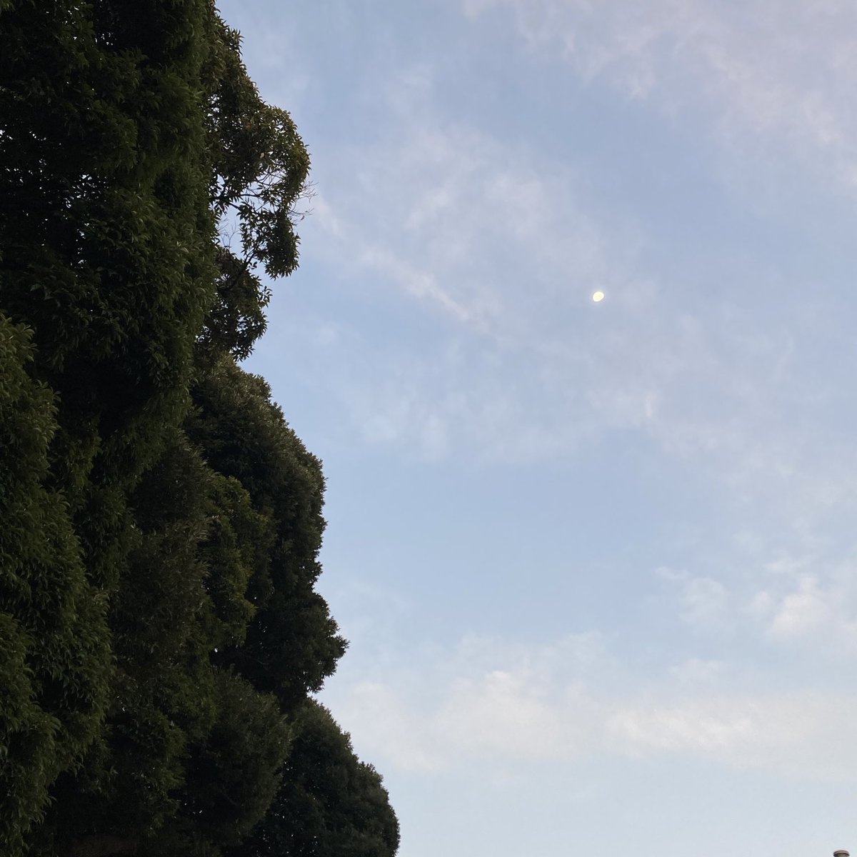 ウォーキング5日目です。
朝の空気と月と朝焼けのおかげで、なんとか起きられました。
朝の空は優しい色ですね。