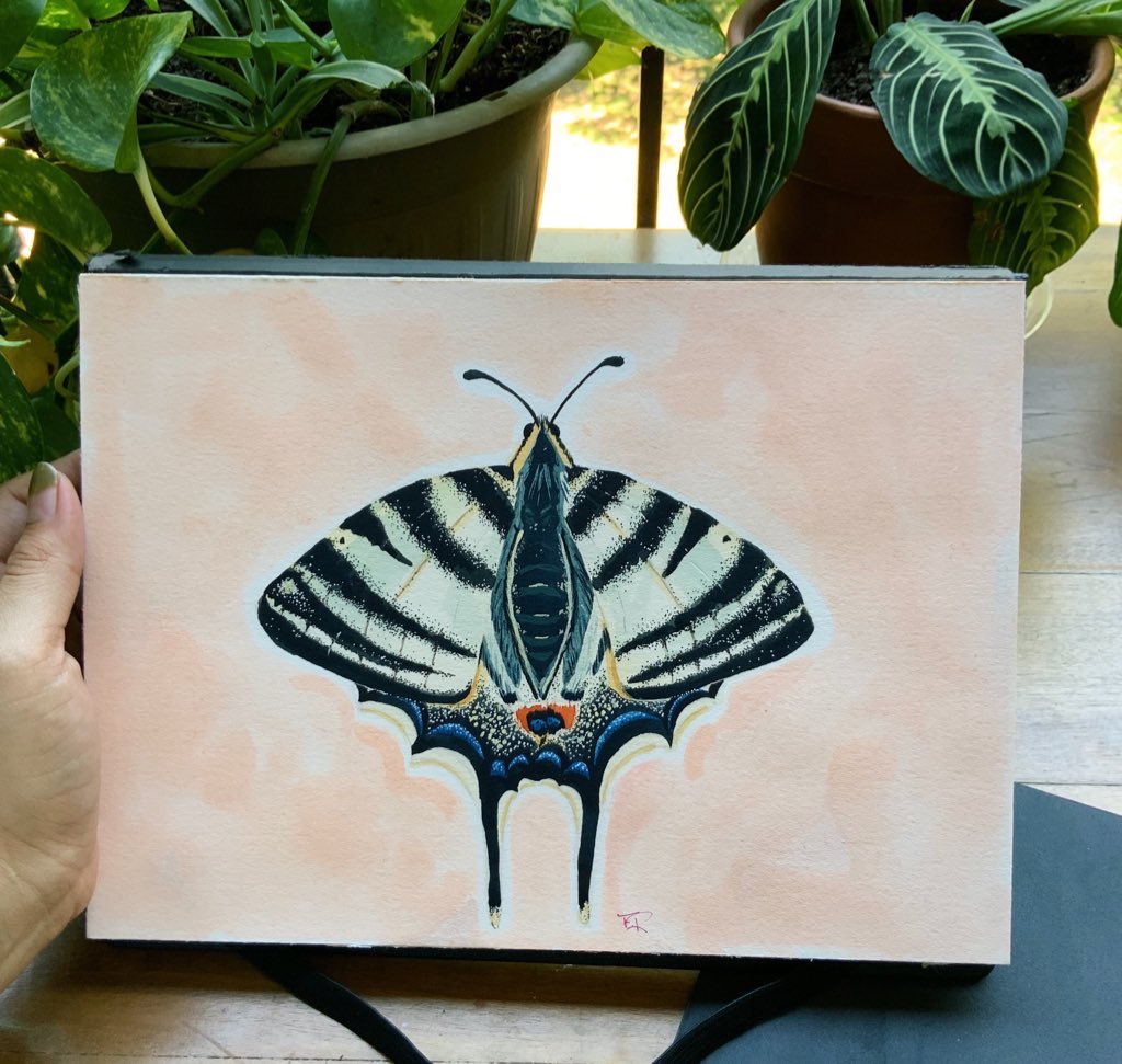 Fall raffle in support of undocu student!🍂🍁

100% of funds will go towards supporting first gen, undocumented, &amp; peruvian student at UNT to pay off tuition. Currently at $905/$2,000. 

Raffle ends on 11.19! ⬇️⬇️
zelle: 936-645-1075
cshp: $freshavocadoo1
vm: @/fresha_voca_do_