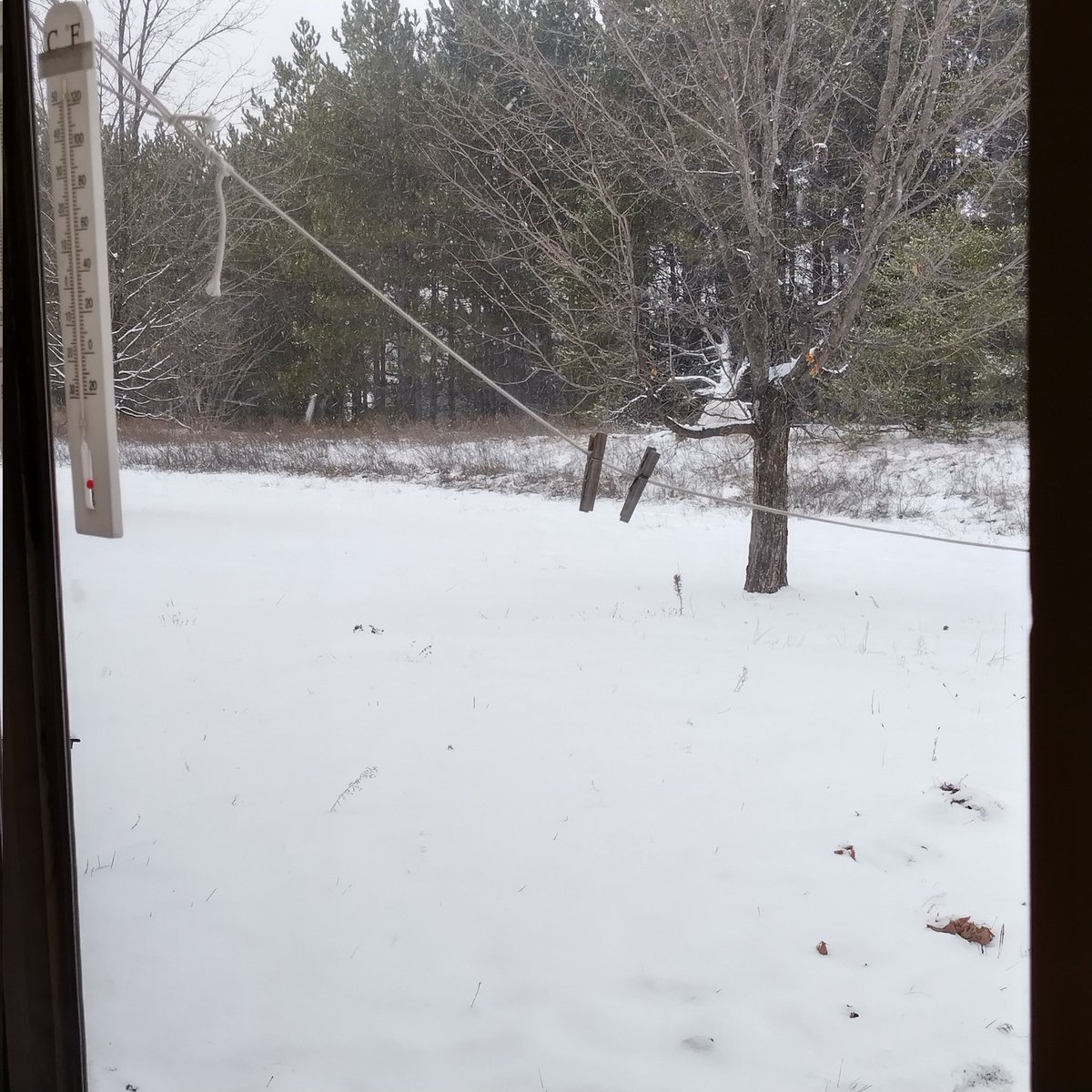 flagirl0308's tweet photo. #snowysaturday with @BZuckered https://t.co/E0M5s9bArO