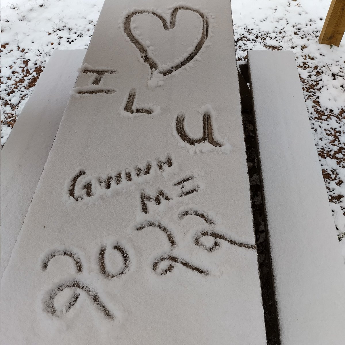 flagirl0308's tweet photo. #snowysaturday with @BZuckered https://t.co/E0M5s9bArO