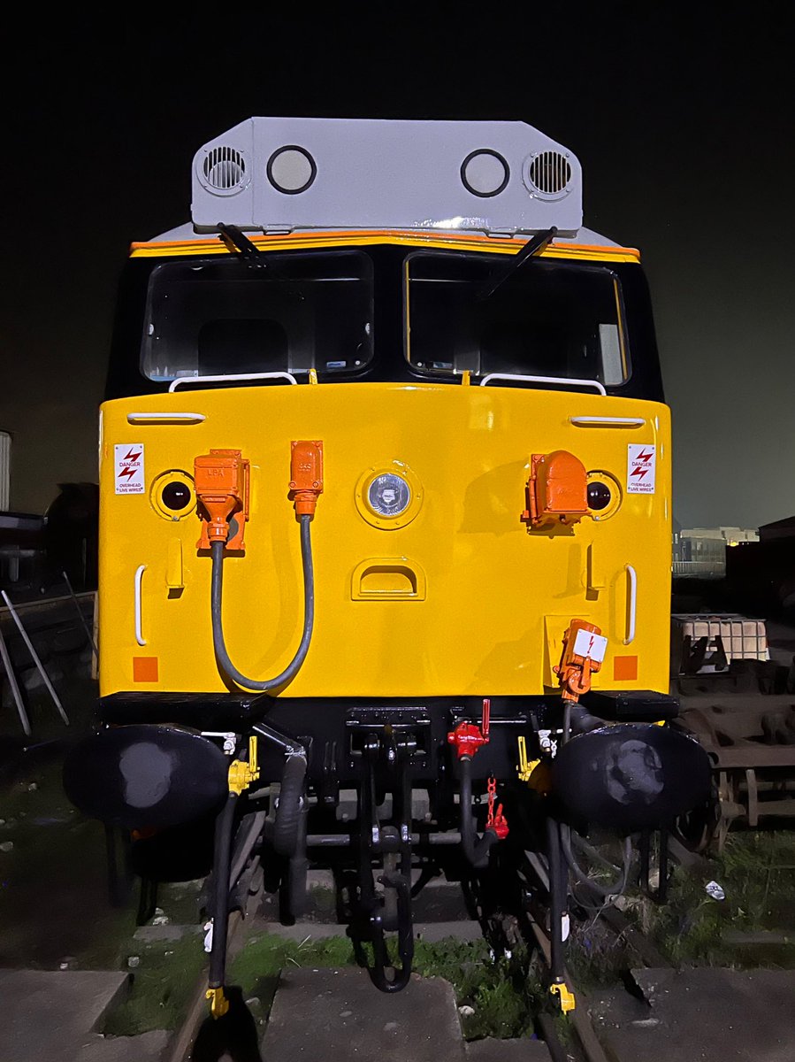 Rodney earlier this evening 😎