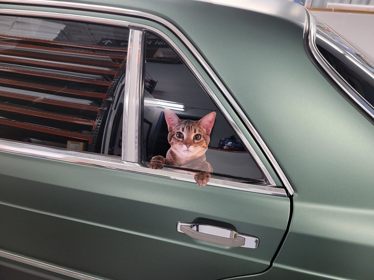 WindowPets's tweet image. Share your pet with the world at windowpets.com