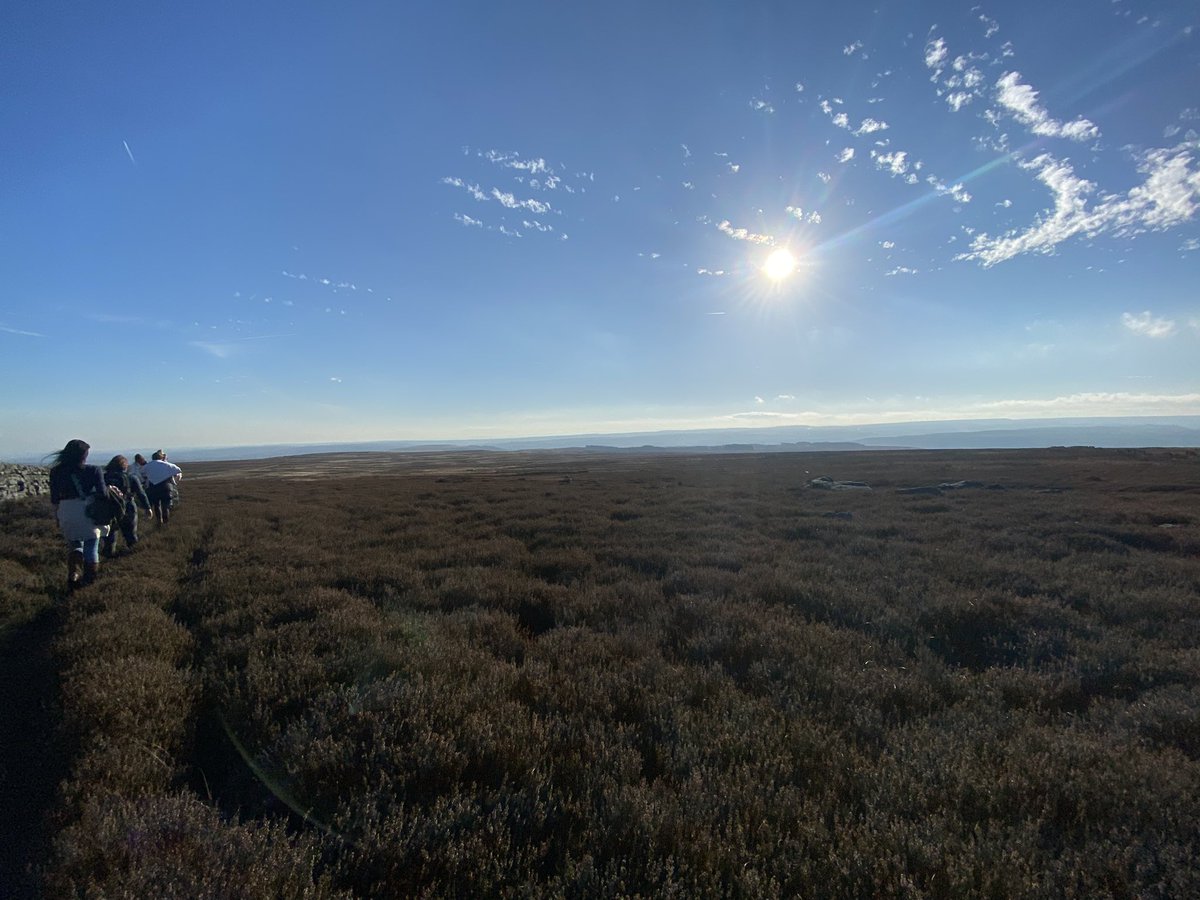 Wholesome walk with these beauties for Poppy’s birthday today 🥳💜 #saturdayswithnonetball #birthdaywalk #netballfriends