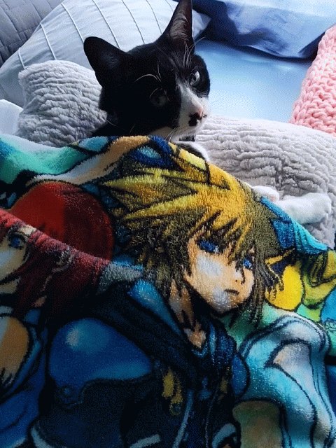 Michael Cwick tweet media