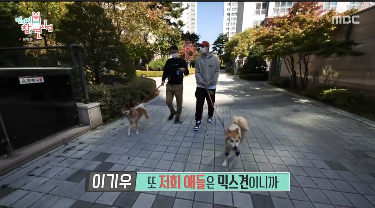 bokdolhihi's tweet photo. 이기우씨 전참시에서 10키로 이상 강아지, 믹스견 견종 출입 금지 언급하는데 누가봐도 일부러 언급한 것으로 보이는… 고마워요 테디아배.. https://t.co/qh2MQXgzeF