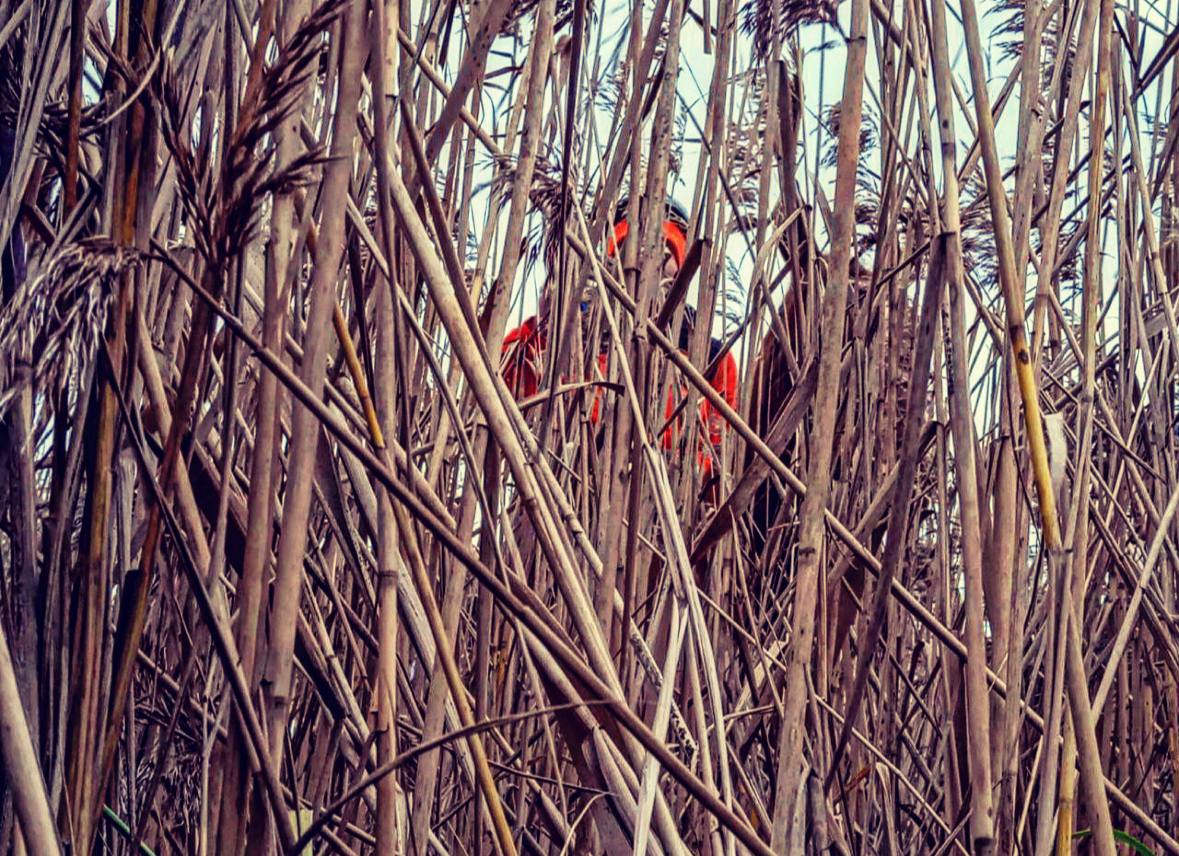 Конные учения в Шатуре.🌾 Познания. Открытия. Результаты. Поля в Шатуре тоже суровые. #конное_направление#лизаалерт