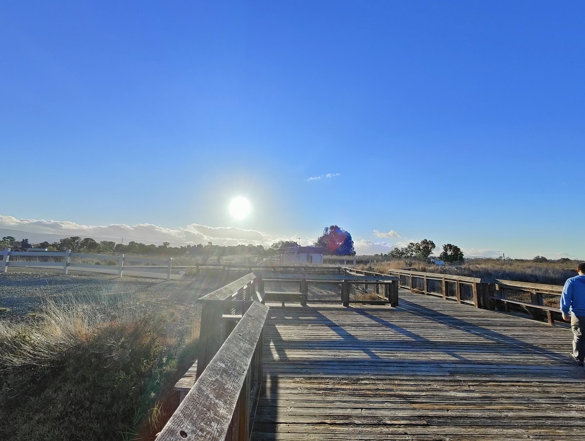 frank_bytetrade's tweet image. Credits based loans twined among unregulated cefis is risky to the market. no one could have the credits underlying assets transparency.More market makers, cefis gonna infected by FTX Pandemic. More confidence in decentralized protoco instead of Platform. #protocolnotplatform