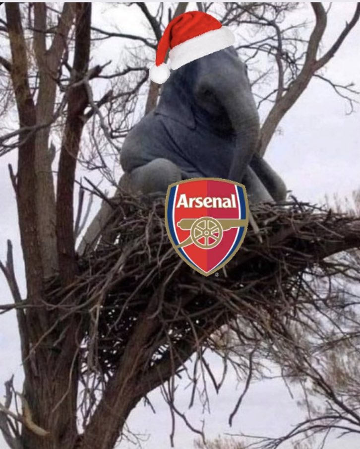 Some fucking tree that 😂 who woulda top of the table huh🤩 till Christmas boys 😎🫵🫡 #Arsenal #FPL #PremierLeague