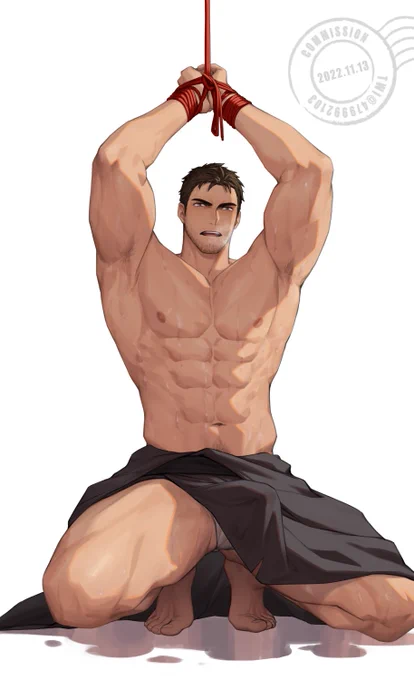 Commission for  Chirs 