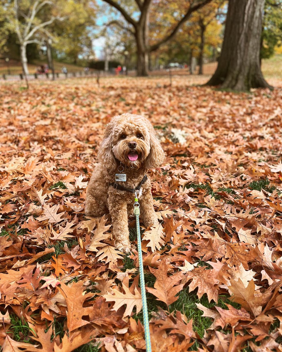 Kate Neuens tweet media