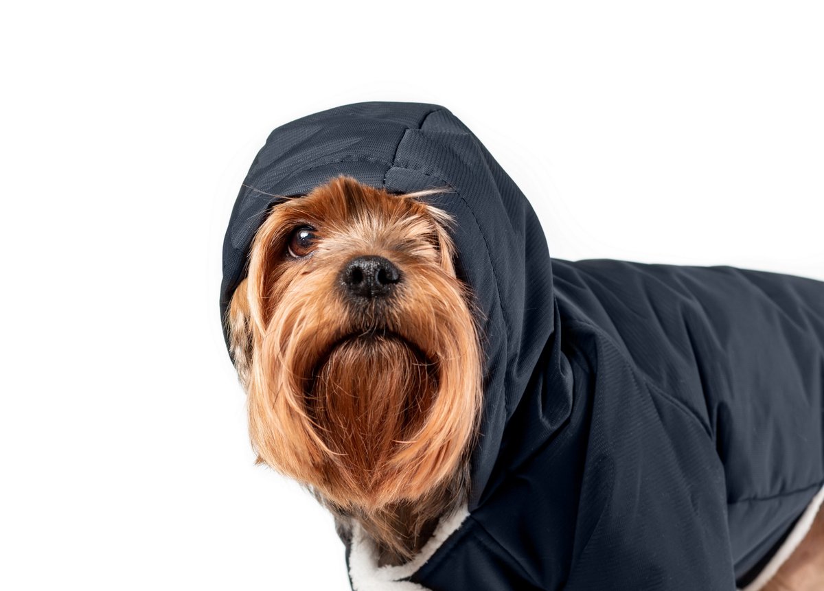Top 6 Must-Have Styles for Winter - Branded comfy beanies, crewnecks, joggers and puffer jackets are just a few of winter must-haves for people of all ages.
swizzlestory.com/must-havestyle…